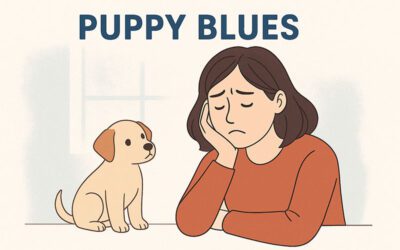 Puppy Blues: qué es, por qué ocurre y cómo superarlo con empatía