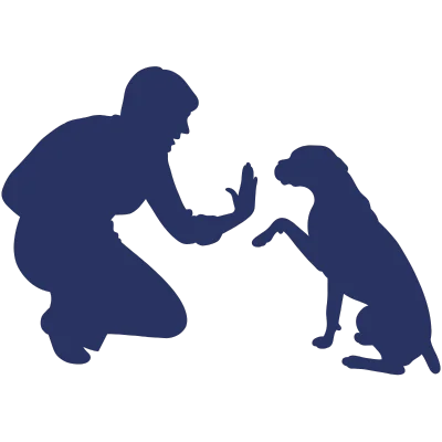 Clases de Trucos para Perros